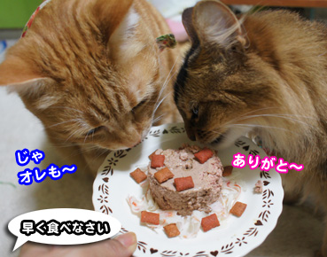 cake7816.jpg