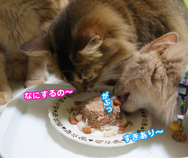 cake7825.jpg