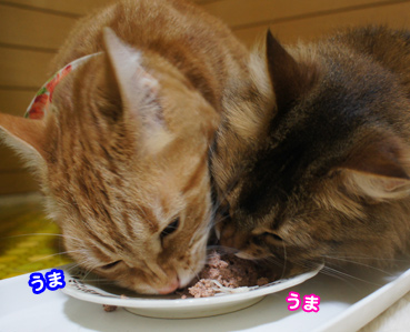 cake7873.jpg