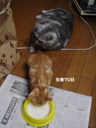 ookisa01715.jpg