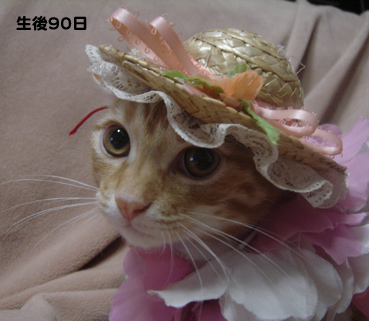 ookisa02207.jpg