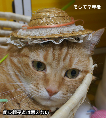 ookisa7981.jpg