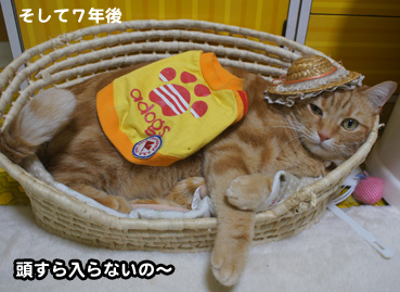 ookisa7986.jpg