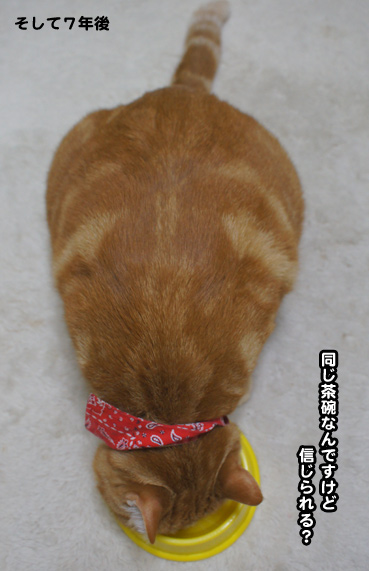 ookisa8003.jpg