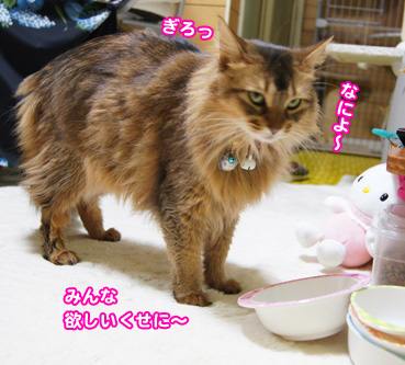 kure2339.jpg