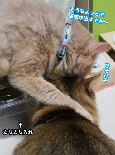 kure4998.jpg