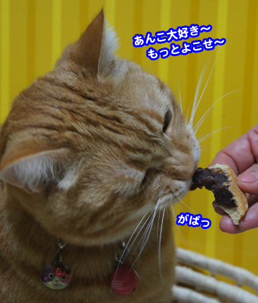 anko6220.jpg