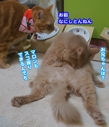 hosp1391.jpg