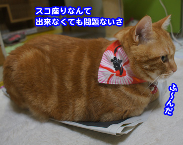 hosp1432.jpg