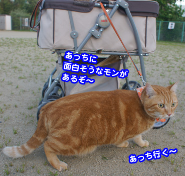 yuugu9398.jpg