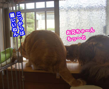 mado2110.jpg