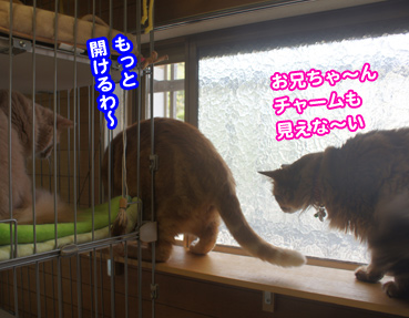 mado2103.jpg