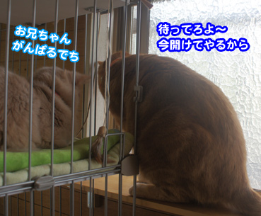 mado2260.jpg
