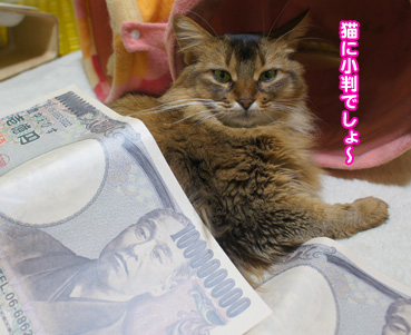 ebisu3272.jpg