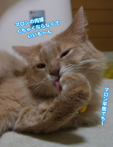 cyuu3192.jpg