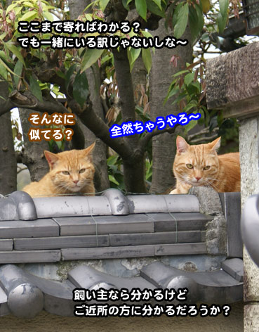 sokuri2587.jpg