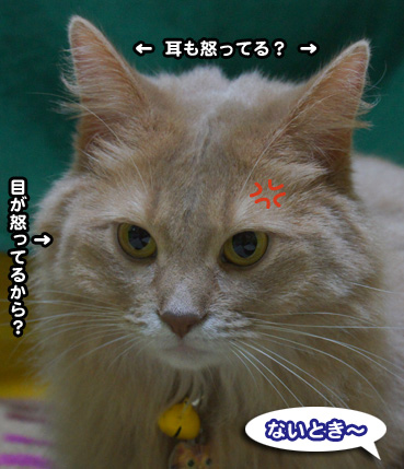 arutoki4520.jpg