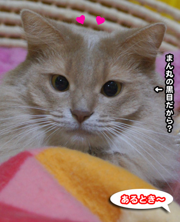 arutoki0737.jpg