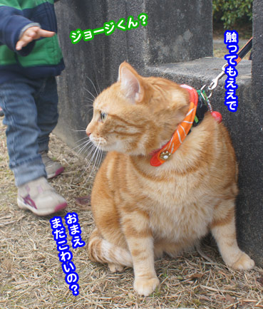 kodomo0440.jpg