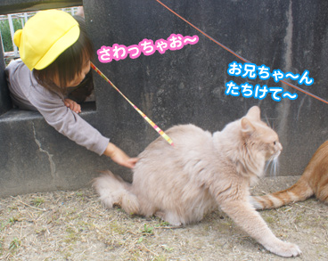 kodomo0488.jpg