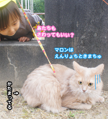 kodomo0482.jpg