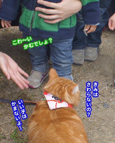 kodom0432.jpg