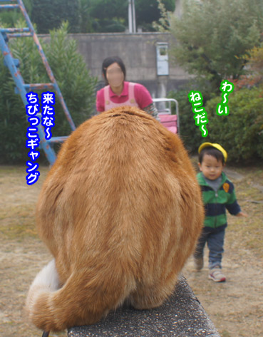 kodom0404.jpg