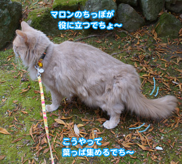 souji5381.jpg