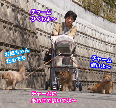 sakura2_8394.jpg