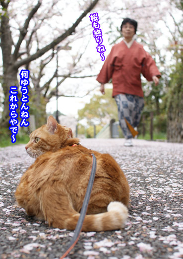 chiri2946.jpg