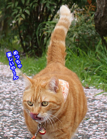 chiri2965.jpg