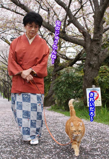 chiri2966.jpg