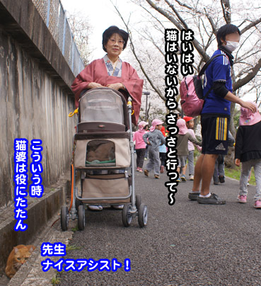 kodomo8911.jpg