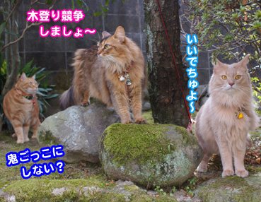 kinobori5284.jpg