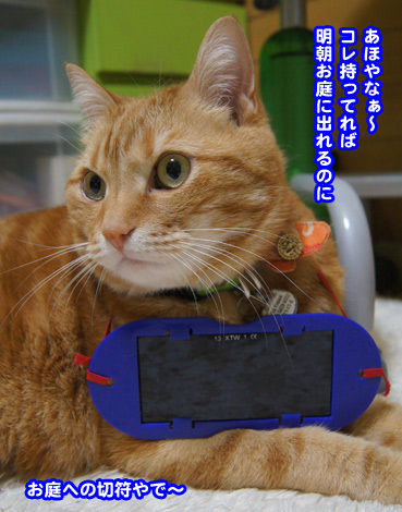 megane1074.jpg