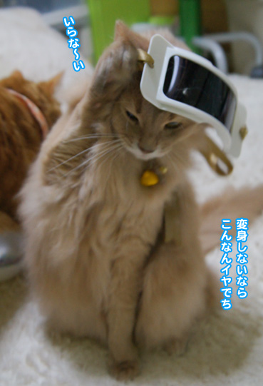 megane1068.jpg