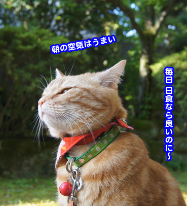 kinkan8117.jpg