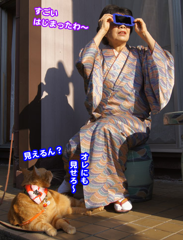 kinkan8108.jpg