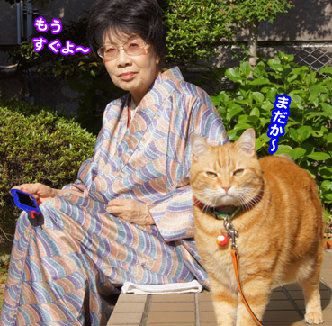 kinkan8141.jpg