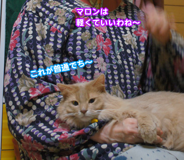 hiza5919.jpg