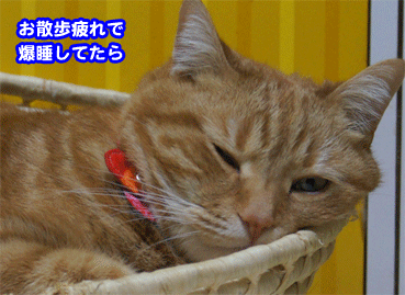 chaina7406.gif
