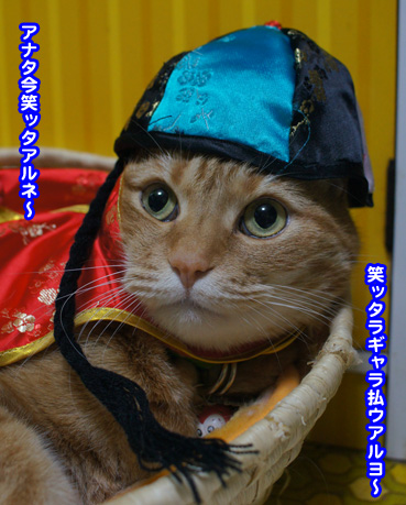 chaina7419.jpg