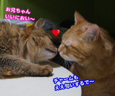 natufuku0239.jpg