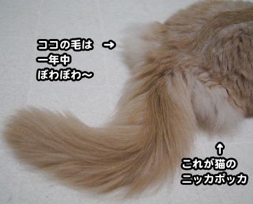 natufuku0285.jpg