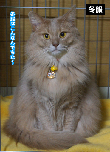 natufuku3157.jpg