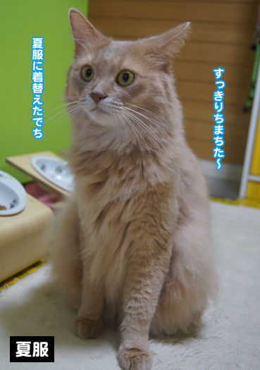 natufuku0250.jpg