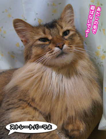 natufuku0325.jpg
