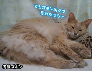 natufuku0288.jpg