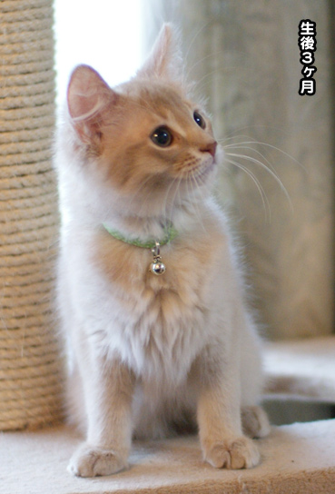 maro02743.jpg
