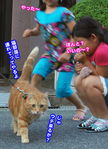 GF9767.jpg